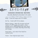 kangen water