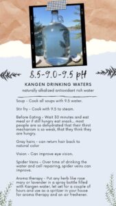 kangen water
